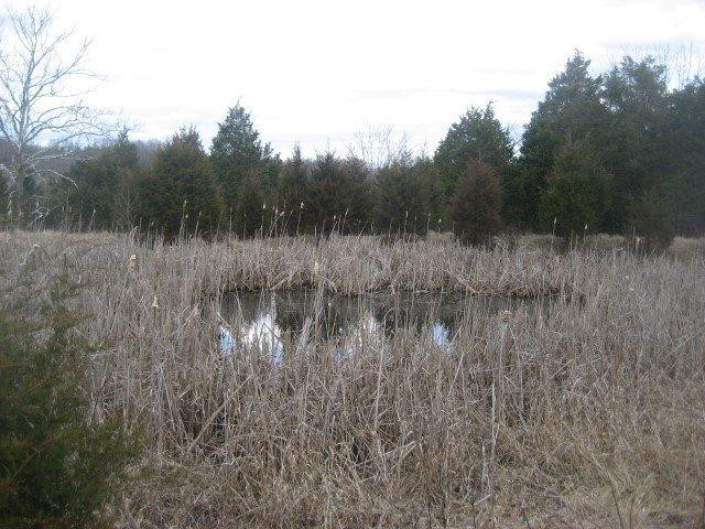 1234 Goose Creek Road Bagdad, KY 40003 - Photo 10 of 23 Photo 10