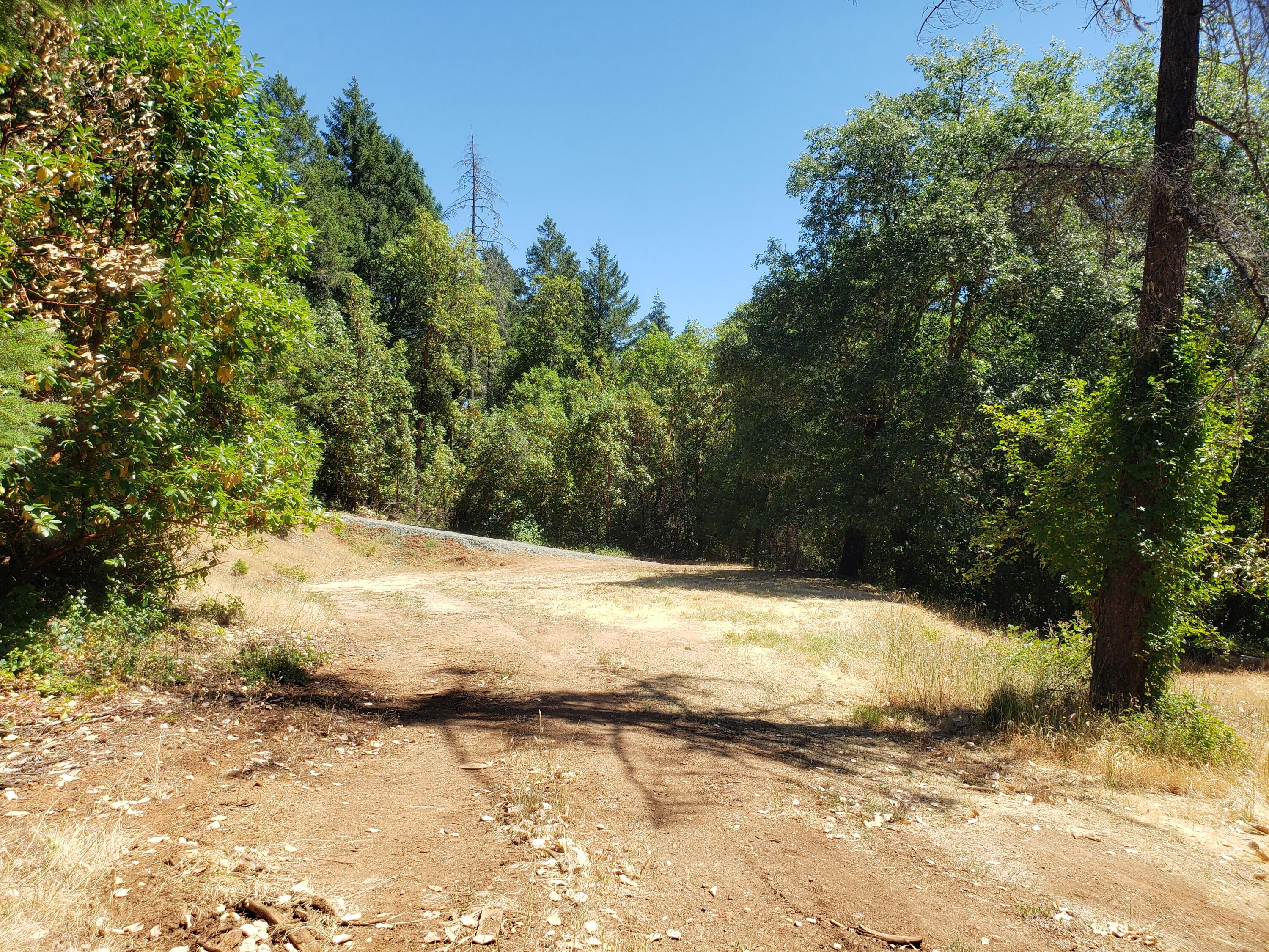 500 Paradise Gardens Road Grants Pass, OR 97527 - Photo 11 of 19 20240619_112431