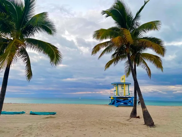 a view of outdoor space with palm trees