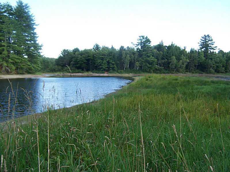Lot 4-2 South Road Ellsworth, ME 04605 - Photo 6 of 8 A private, peaceful site to enjoy...