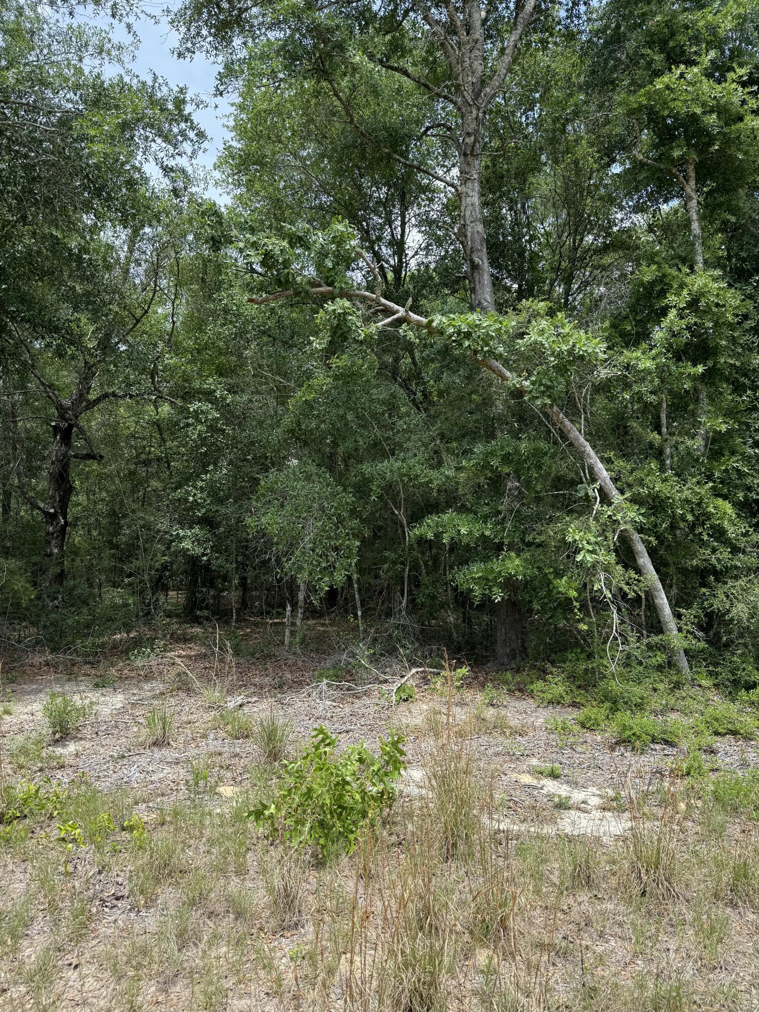Tbd Christopher Lane Crestview, FL 32539 - Photo 3 of 5 lot1