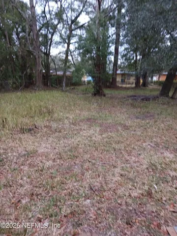 a view of a yard with trees