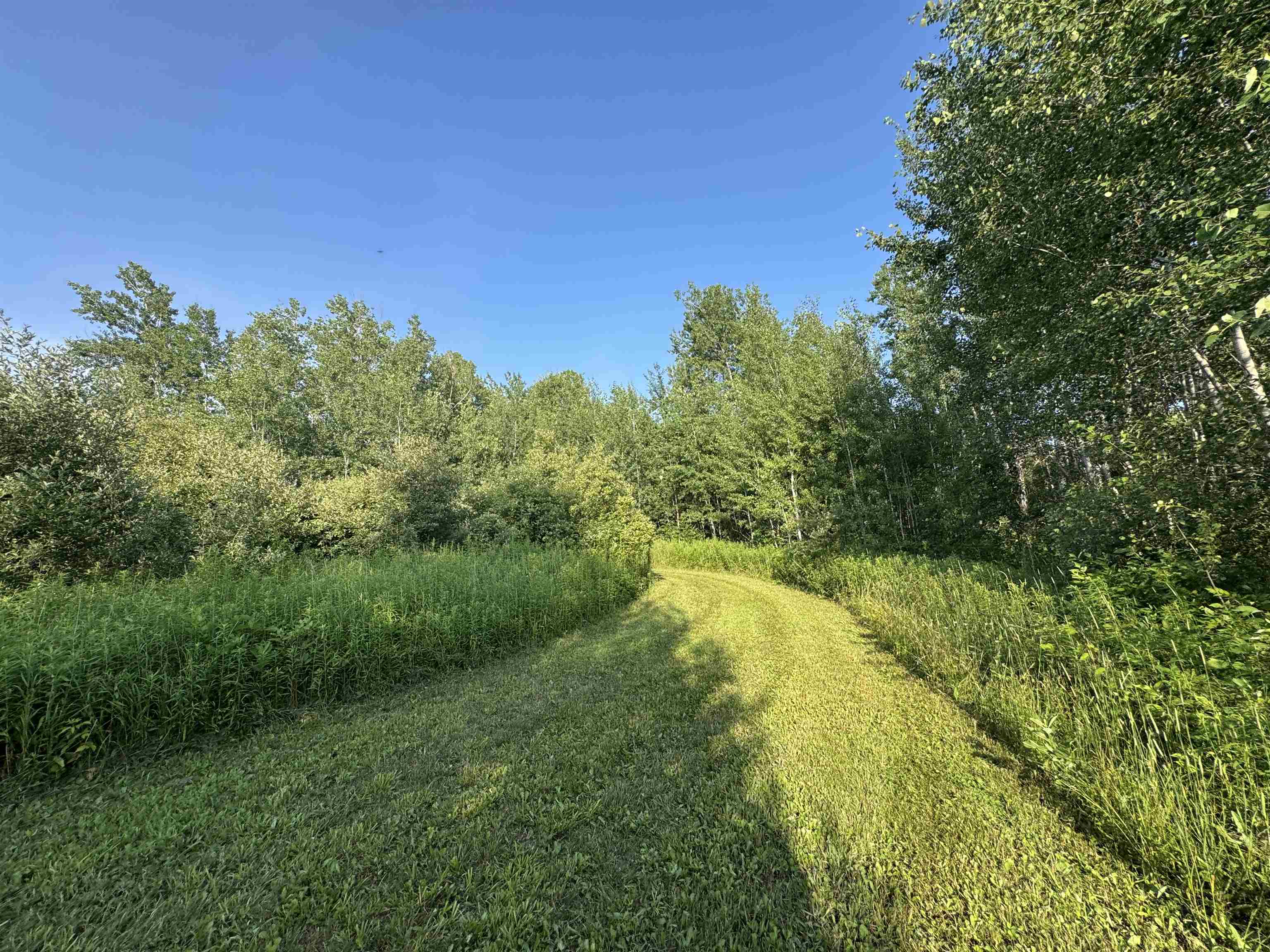 4041 Berry Road Sterling, MI 48659 - Photo 59 of 74
