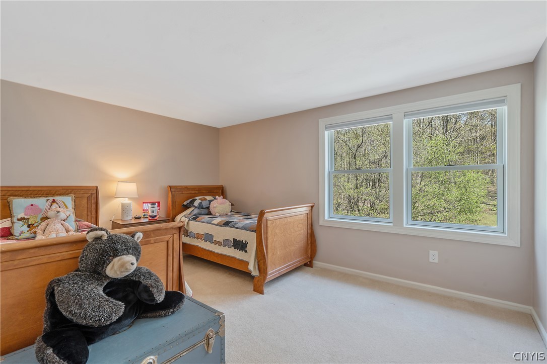 6929 Old Quarry Road De Witt, NY 13066 - Photo 31 of 50