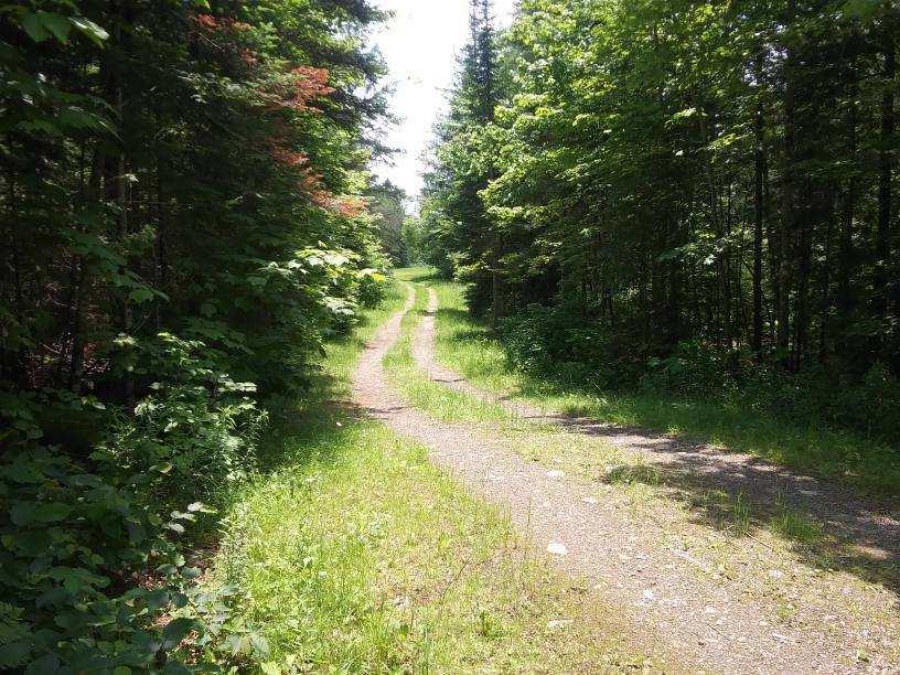 1661 Ludlow Road Houlton, ME 04730 - Photo 51 of 63 image0000013333