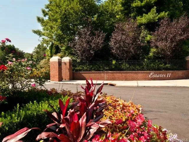 a view of a yard with large trees