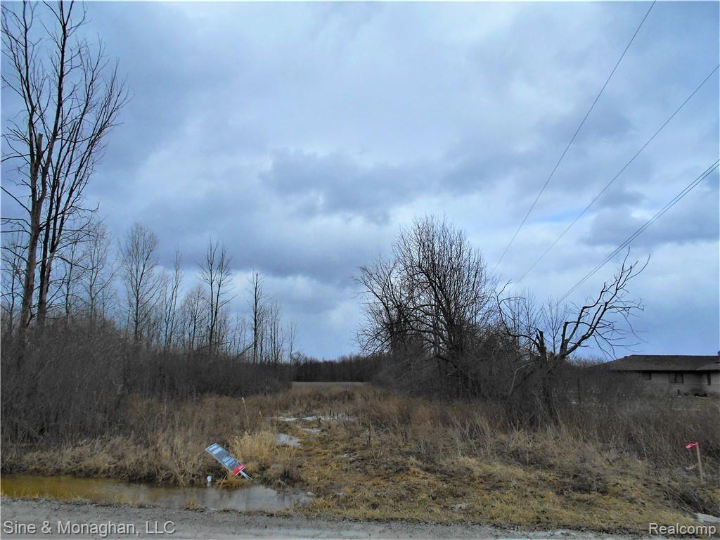 0 Meldrum (parcel B) Road Casco, MI 48064 - Photo 7 of 7 Gallery Image 7