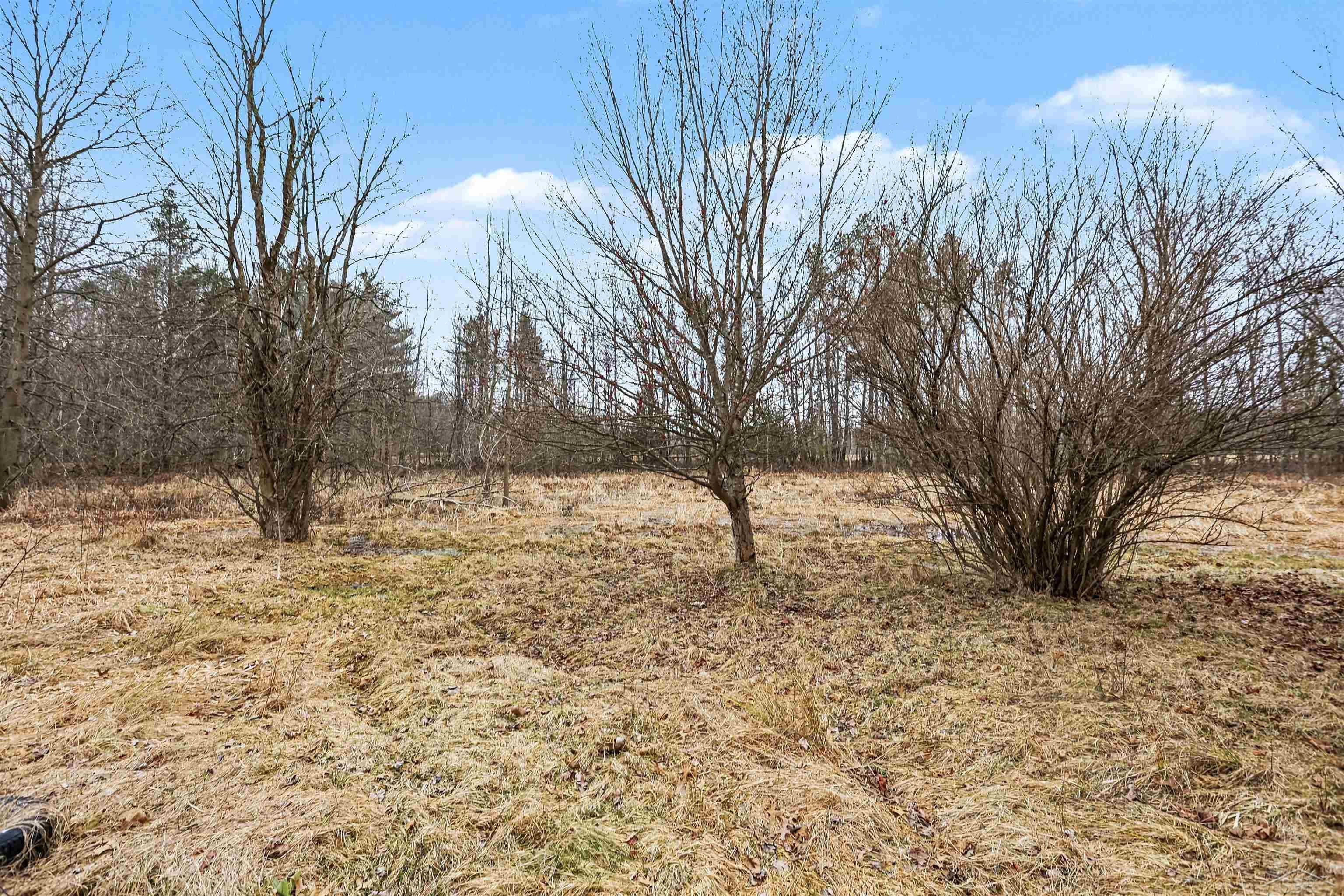 5628 South Orr Road St. Charles, MI 48655 - Photo 9 of 15