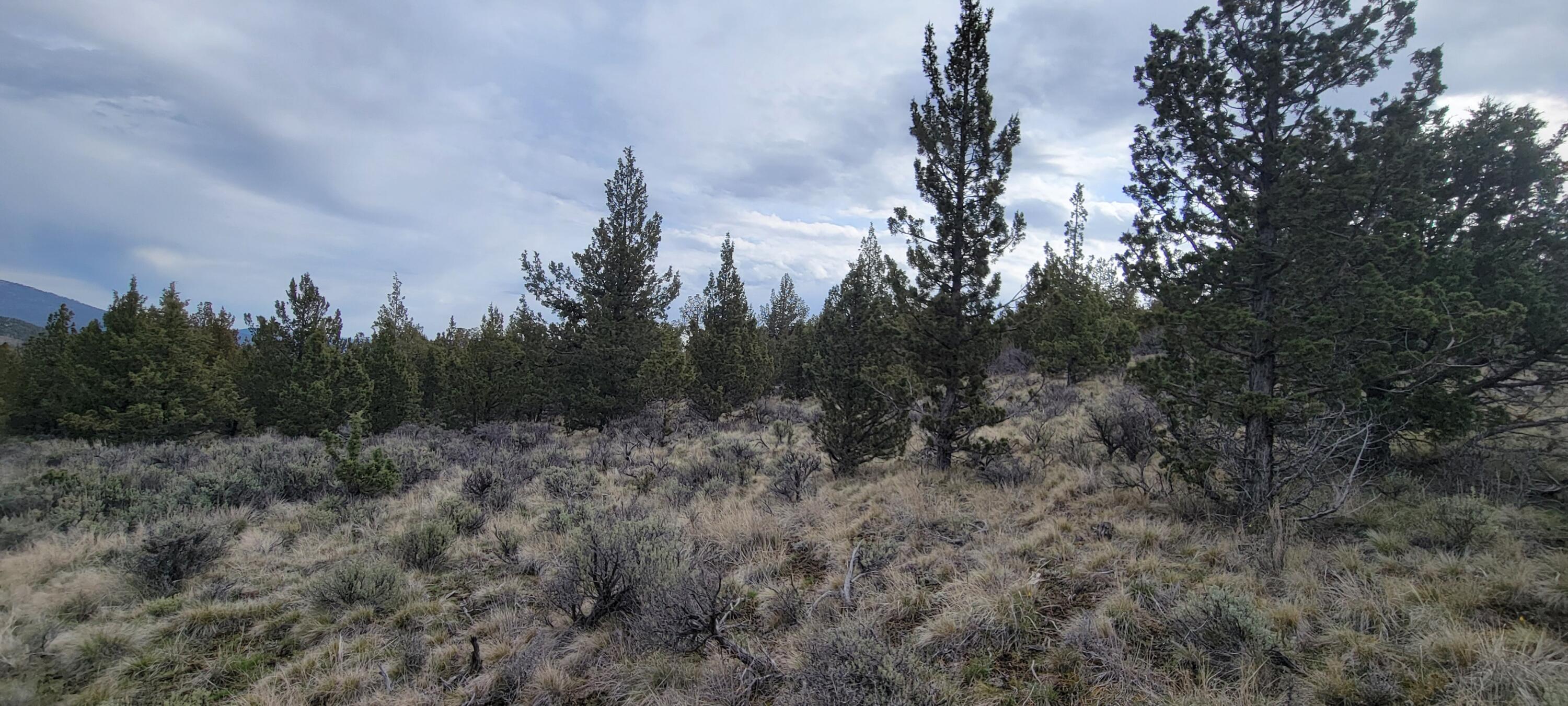 Southeast Osprey Road Prineville, OR 97754 - Photo 10 of 30 Clearings 01