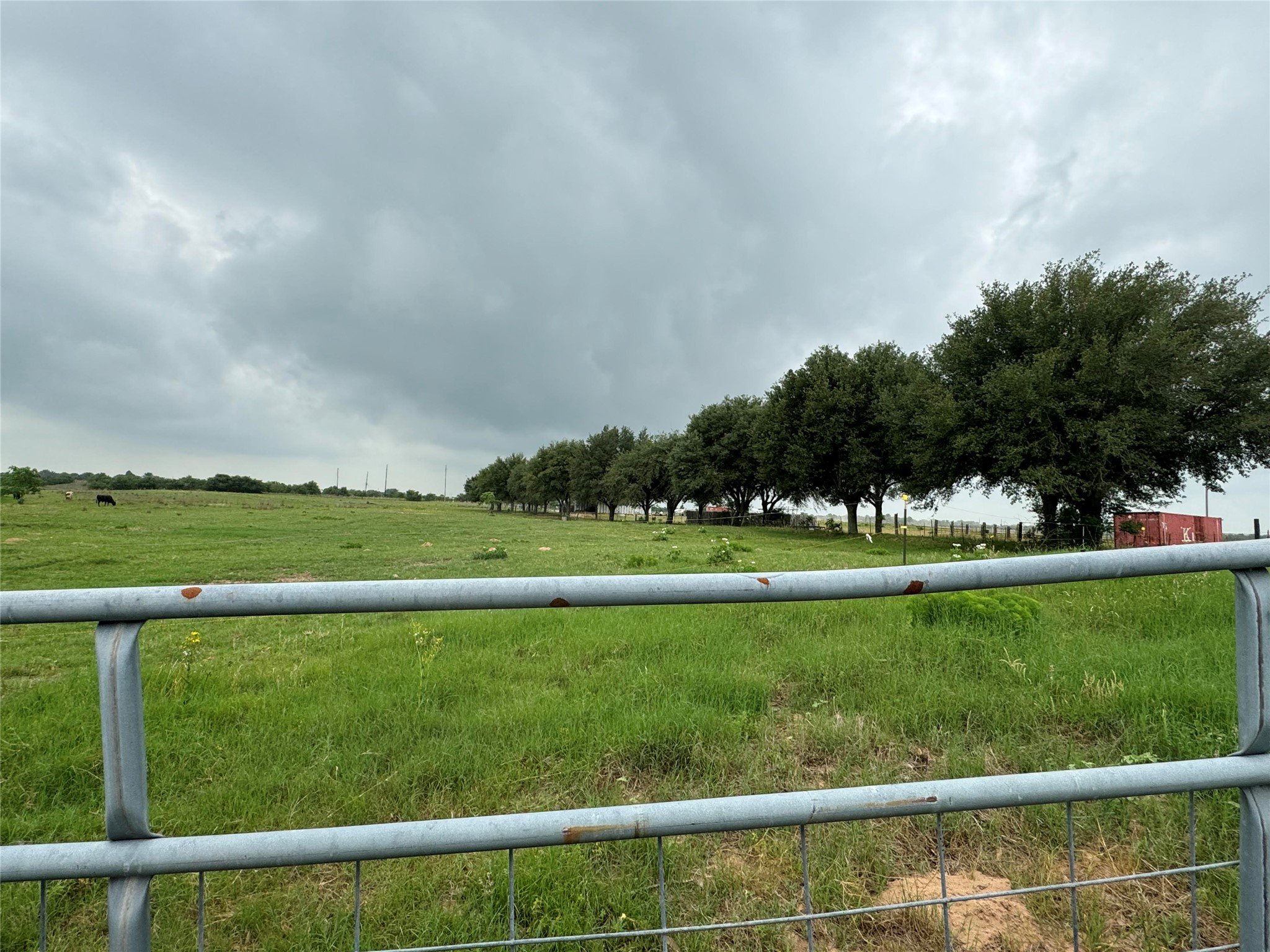 5848 Mieth Road Sealy, TX 77474 - Photo 16 of 25