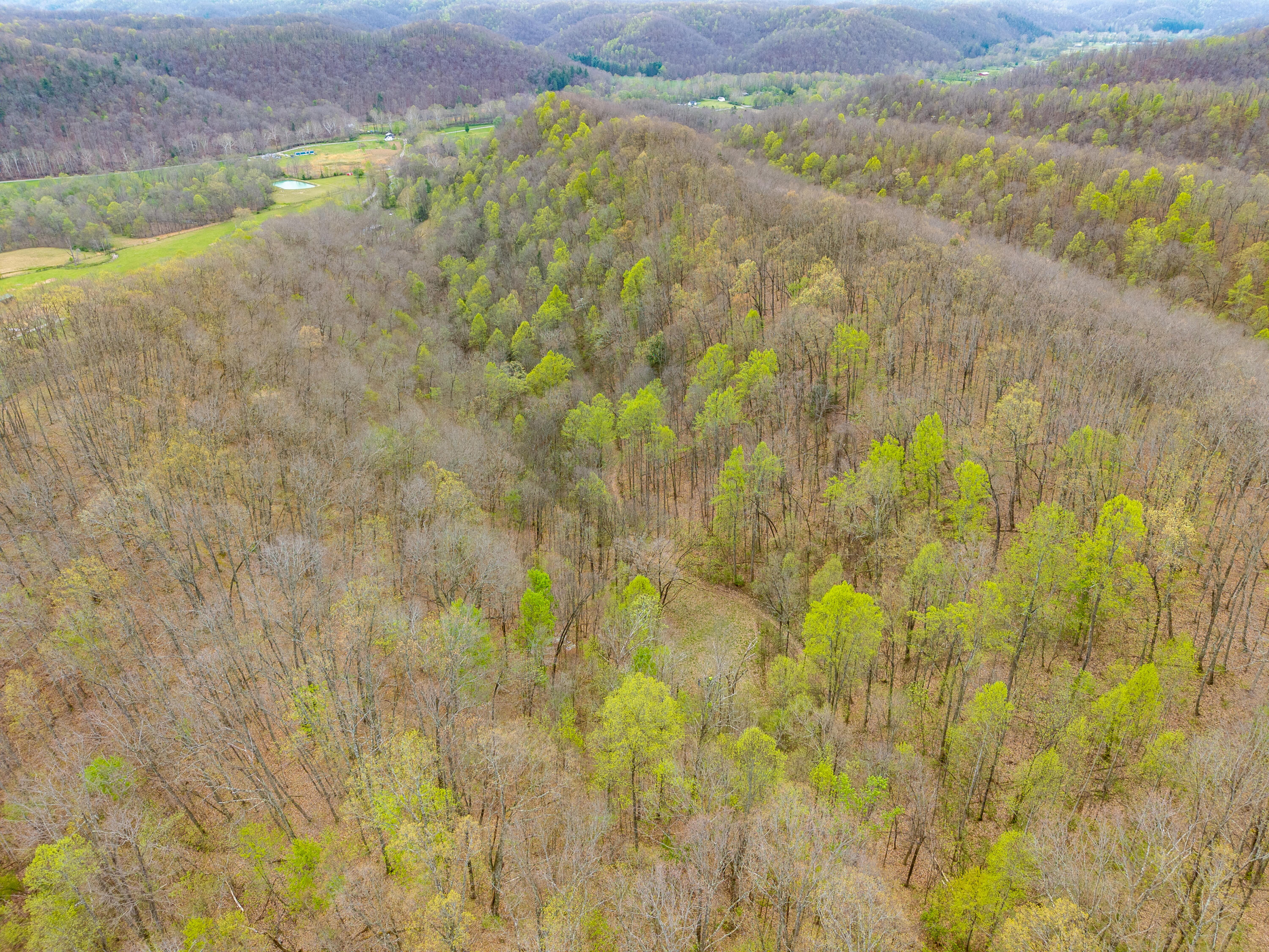 10200 Cranston Road Morehead, KY 40351 - Photo 59 of 62 DJI_20260414115213_0059_D