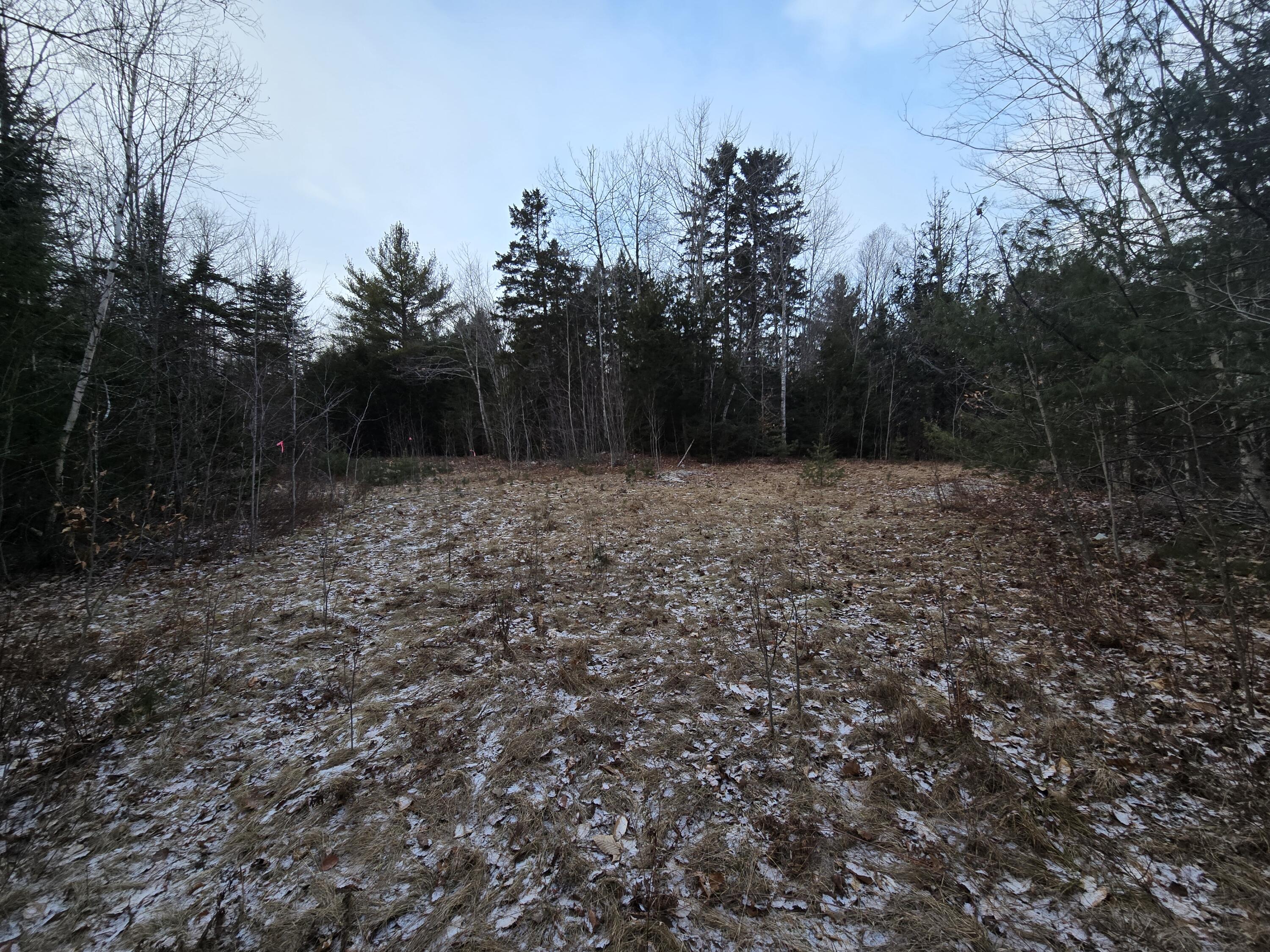 58 Beech Hill Pond Road Dedham, ME 04429 - Photo 25 of 33 20250107_152901