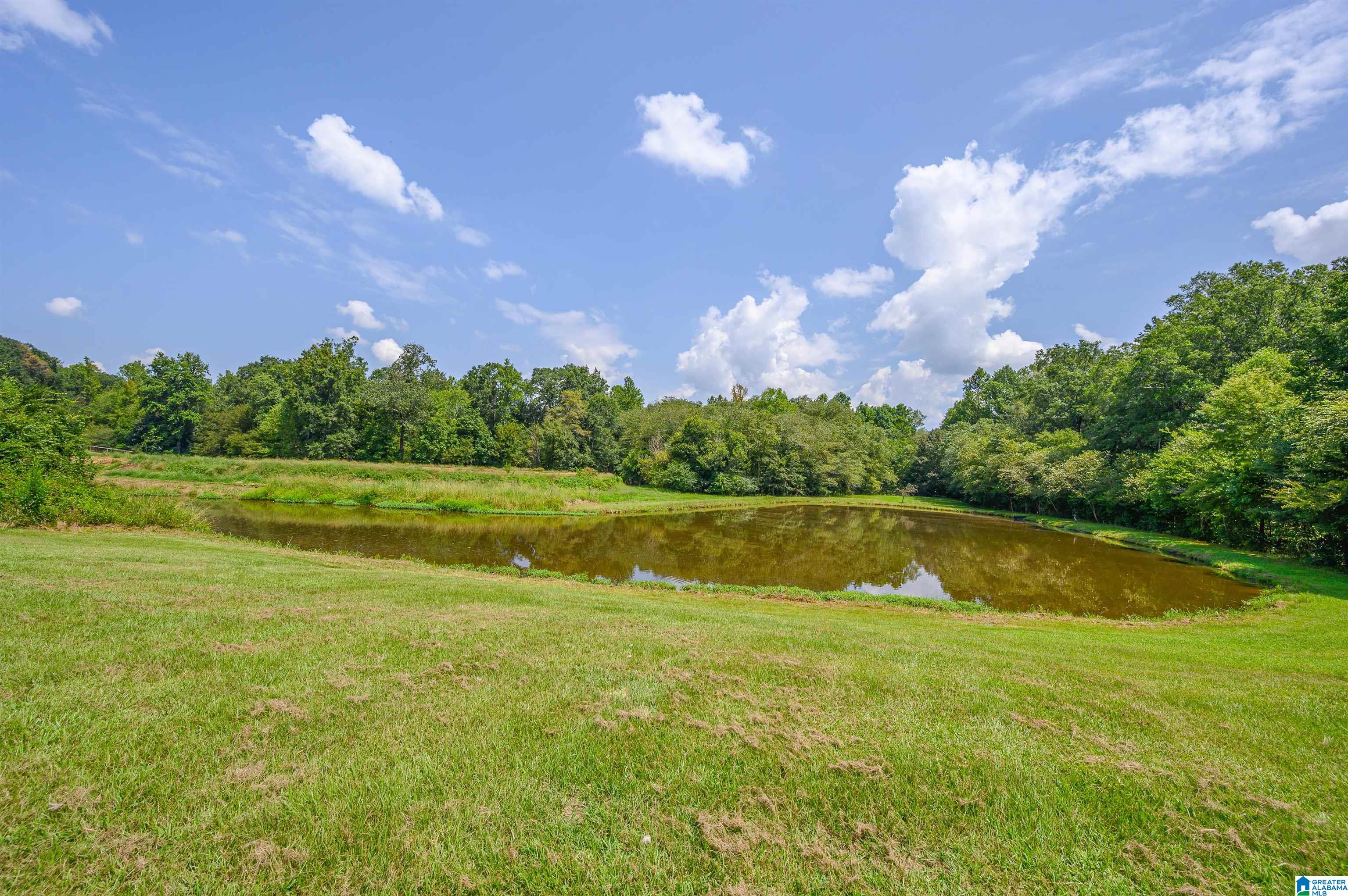 6578 Chelsea Road Columbiana, AL 35051 - Photo 37 of 52