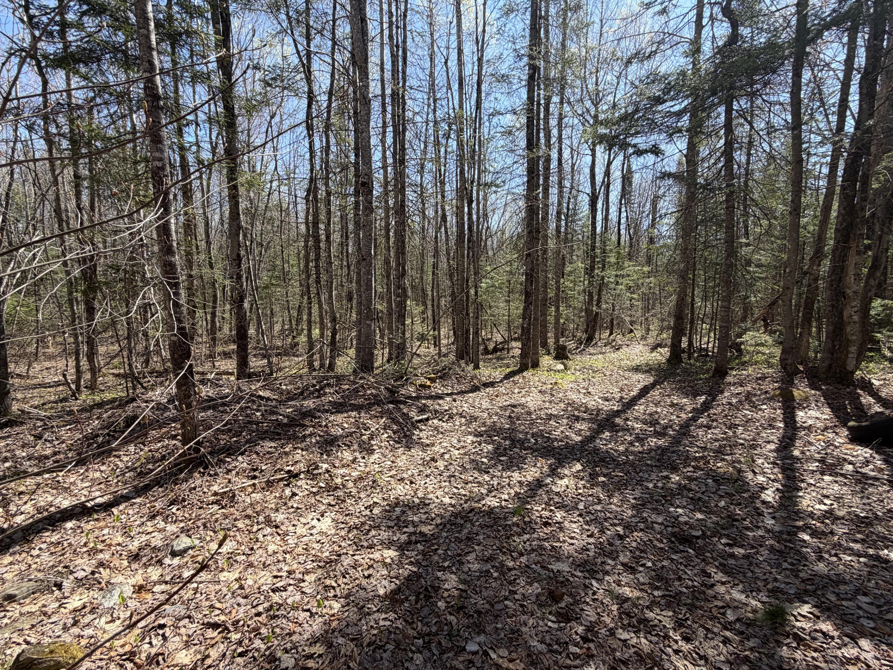 839 Oliver Hill Road Garland, ME 04939 - Photo 9 of 13 9