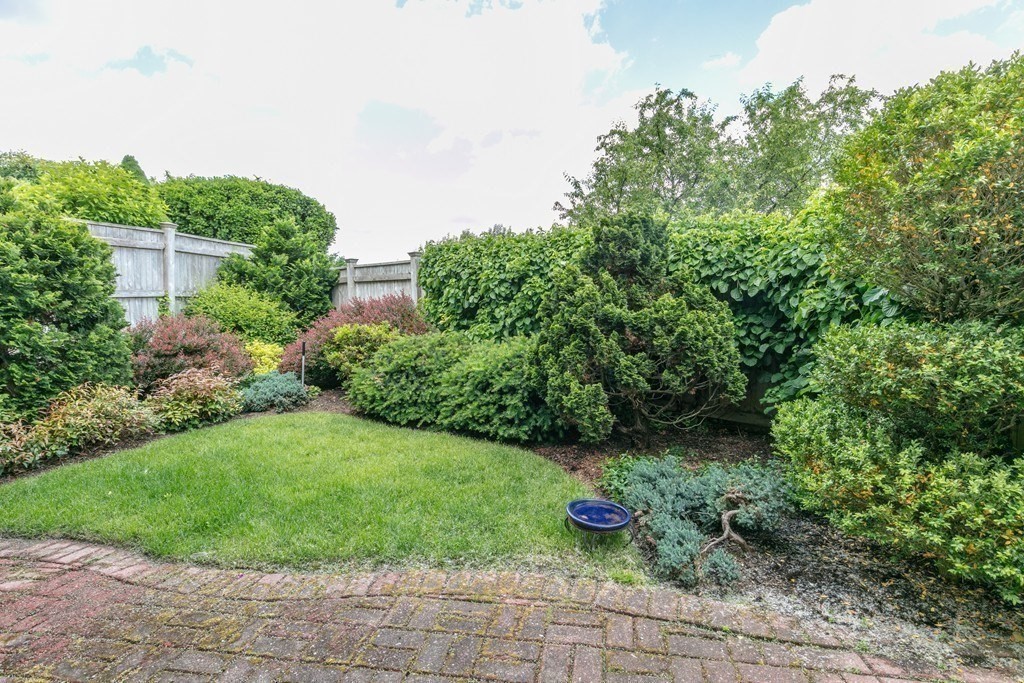 81 Algonquin Road, Unit 81 Newton, MA 02467 - Photo 34 of 40 a view of a backyard with potted plants and large tree