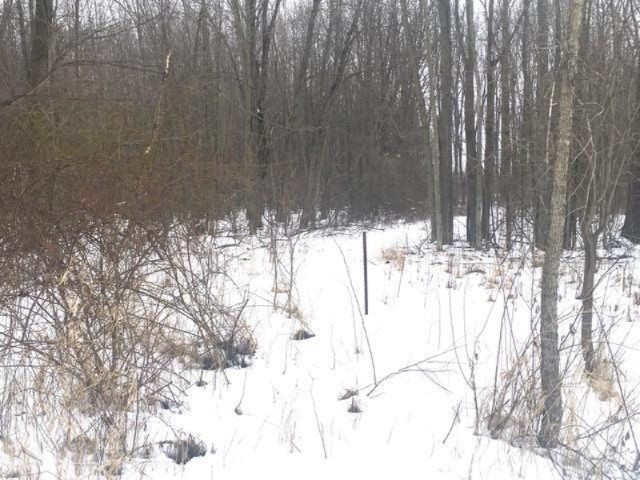 0 Ensley Road Ravenna, MI 49451 - Photo 11 of 14 2