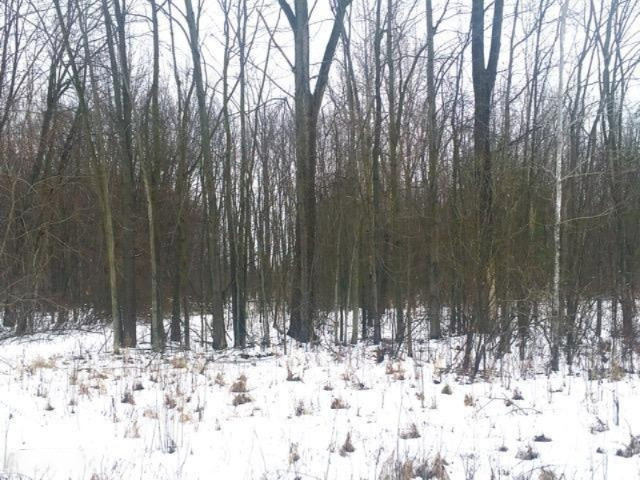 0 Ensley Road Ravenna, MI 49451 - Photo 13 of 14 4