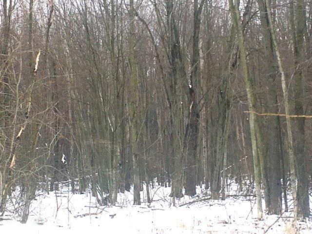 0 Ensley Road Ravenna, MI 49451 - Photo 14 of 14 5