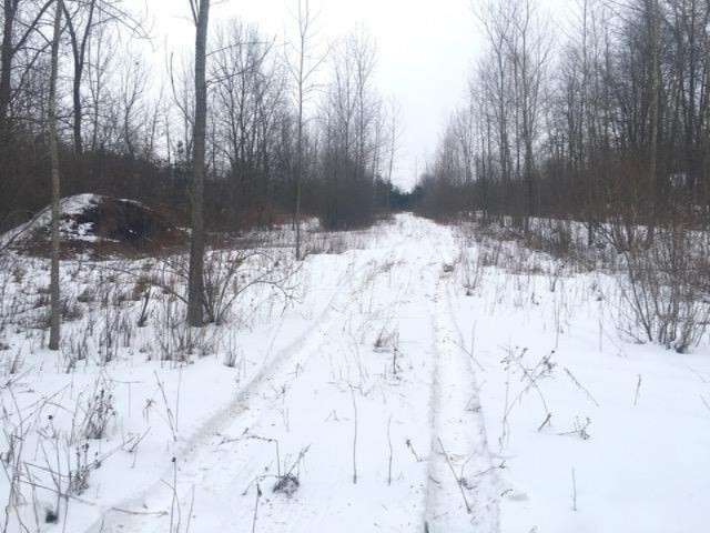 0 Ensley Road Ravenna, MI 49451 - Photo 3 of 14 1