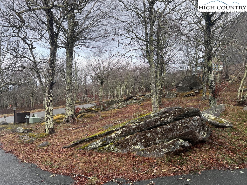 126 Oz Road Beech Mountain, NC 28604 - Photo 26 of 50 a backyard of a house with lots of green space