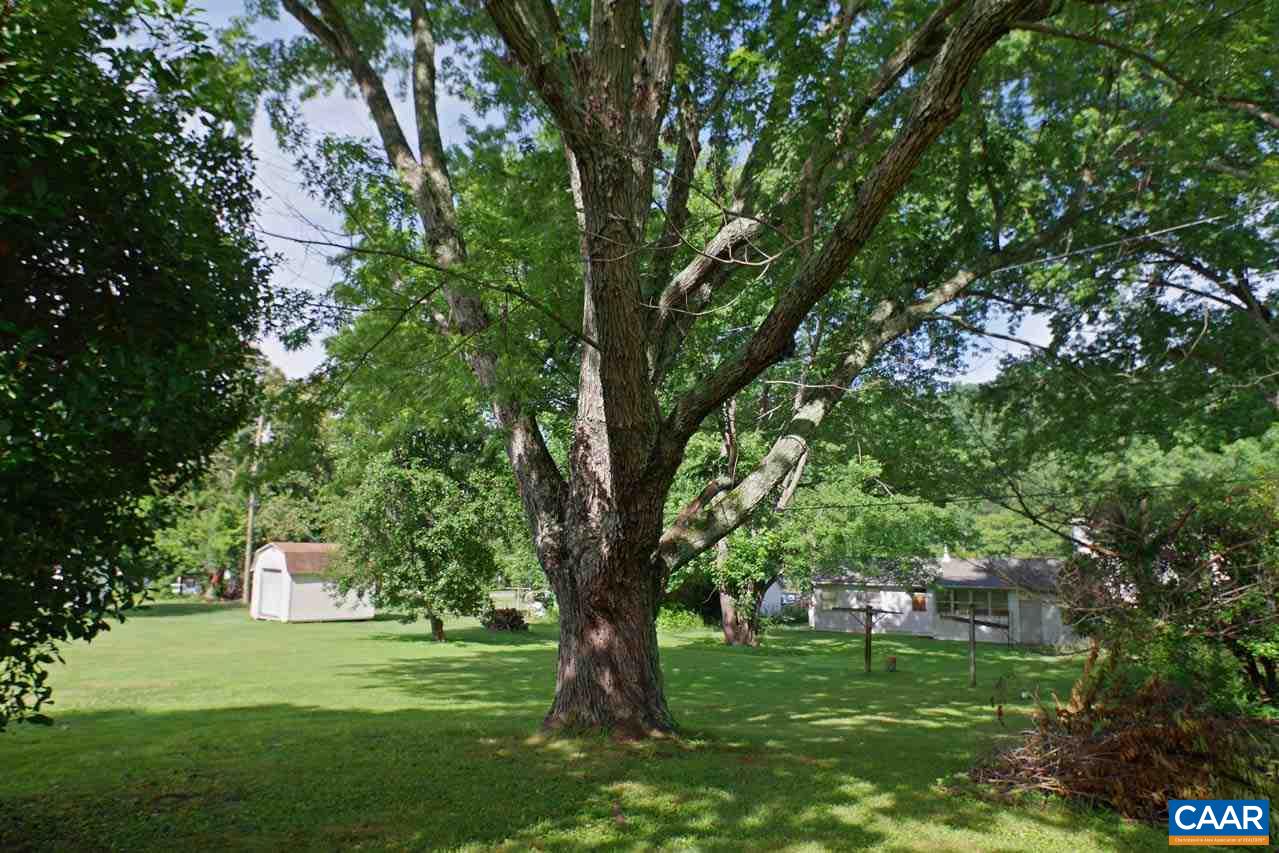 88 Court Street Lovingston, VA 22949 - Photo 42 of 44 a big yard with large trees