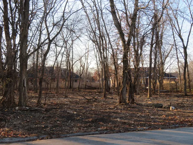 a view of outdoor space with trees
