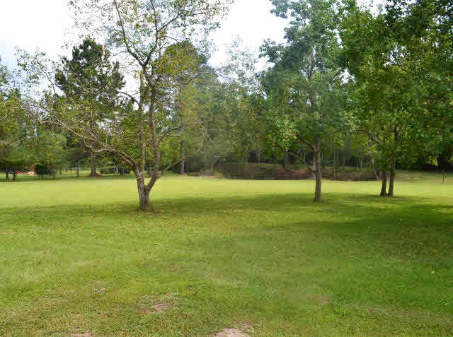 22700 Russian Road Gulf Shores, AL 36542 - Photo 15 of 25