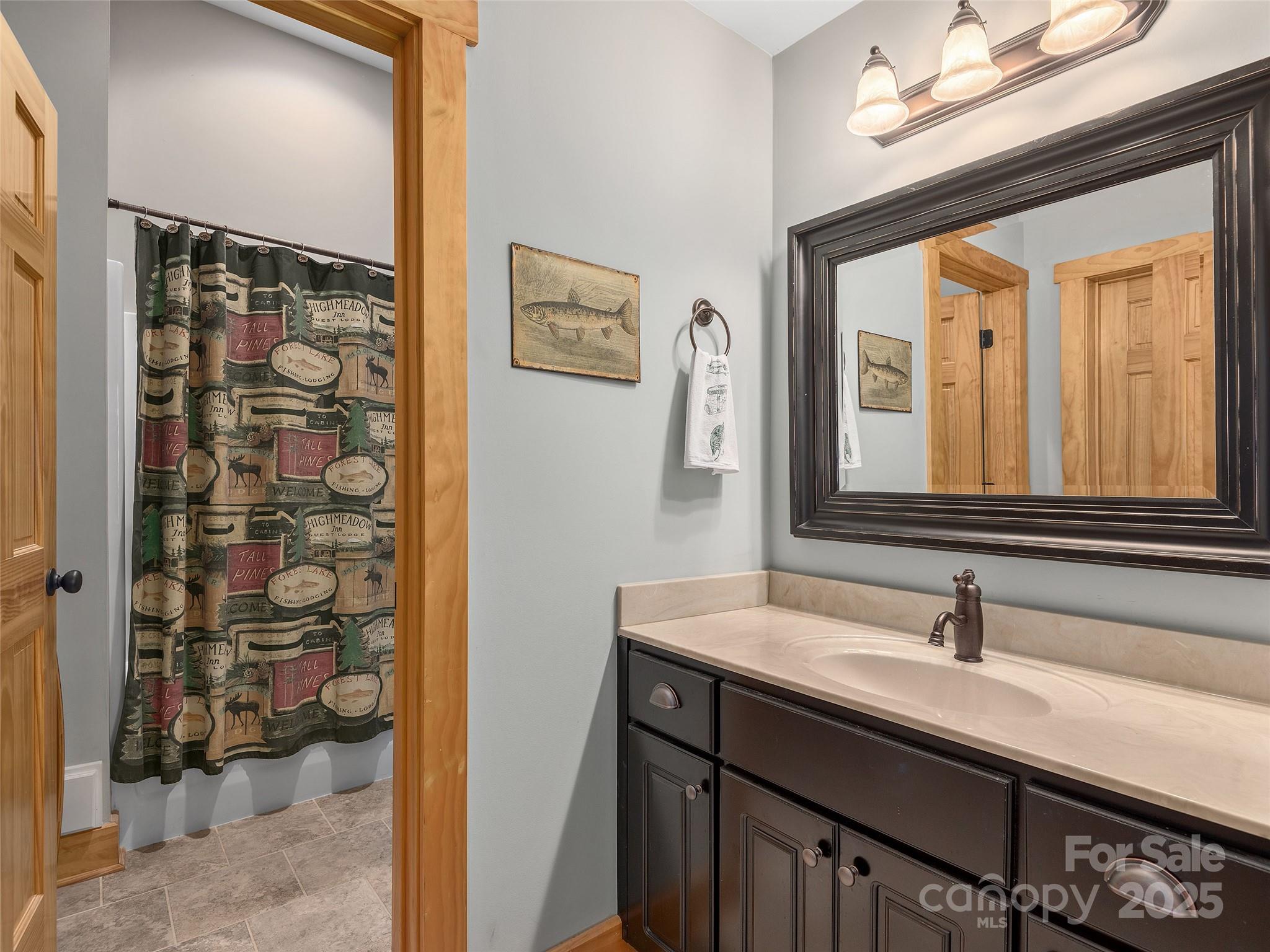 92 Island View Court Mill Spring, NC 28756 - Photo 23 of 48 a bathroom with a sink and a mirror