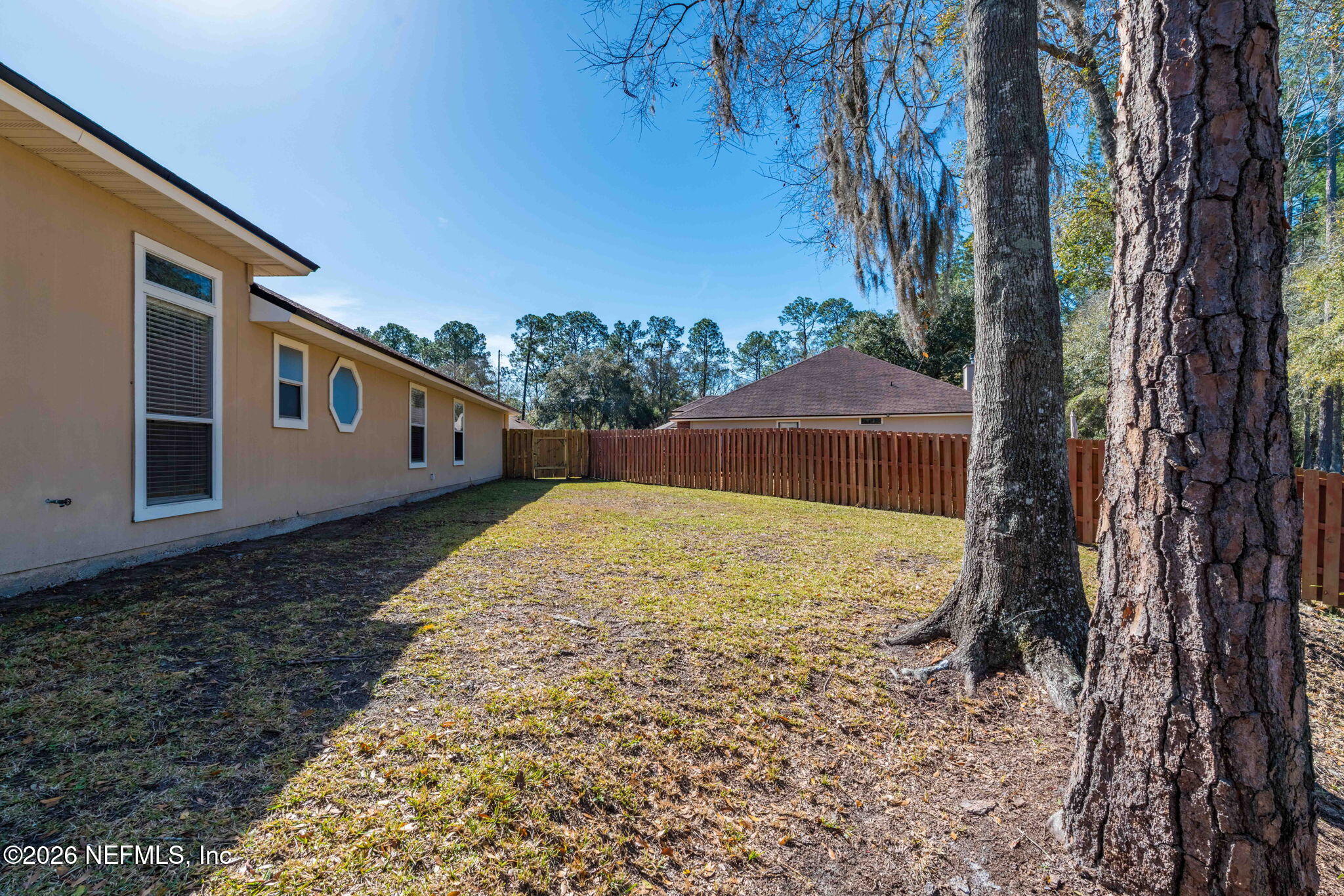 10513 Pope Valley Court Jacksonville, FL 32221 - Photo 11 of 65 ISO 10513 Pope Valley Ct Jacksonville FL