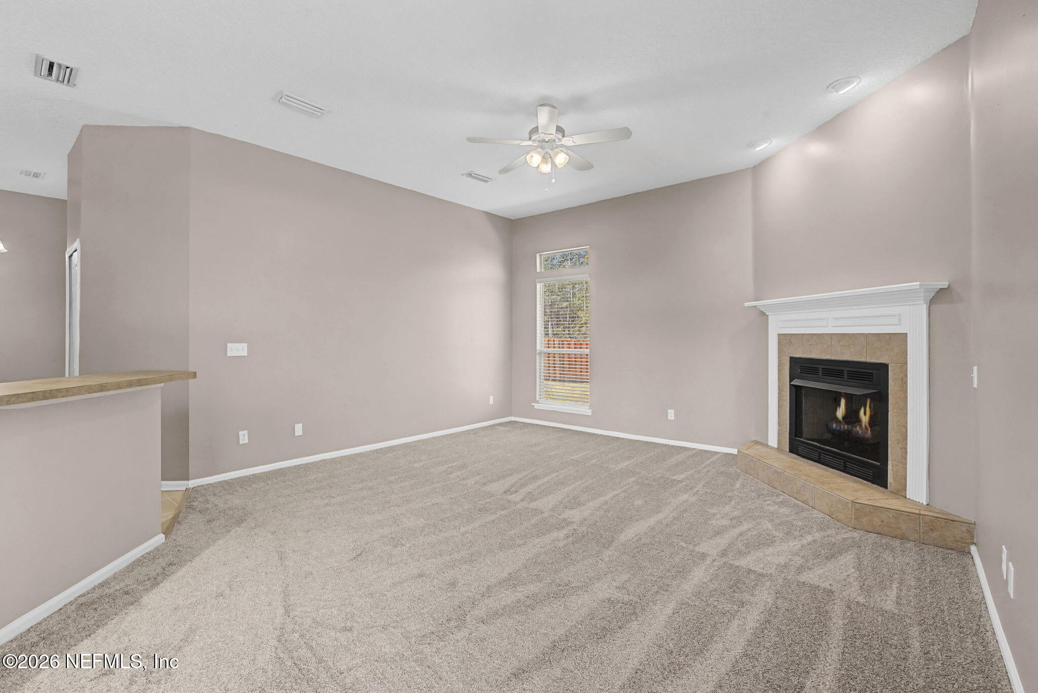 10513 Pope Valley Court Jacksonville, FL 32221 - Photo 22 of 65 ISO 10513 Pope Valley Ct Jacksonville FL