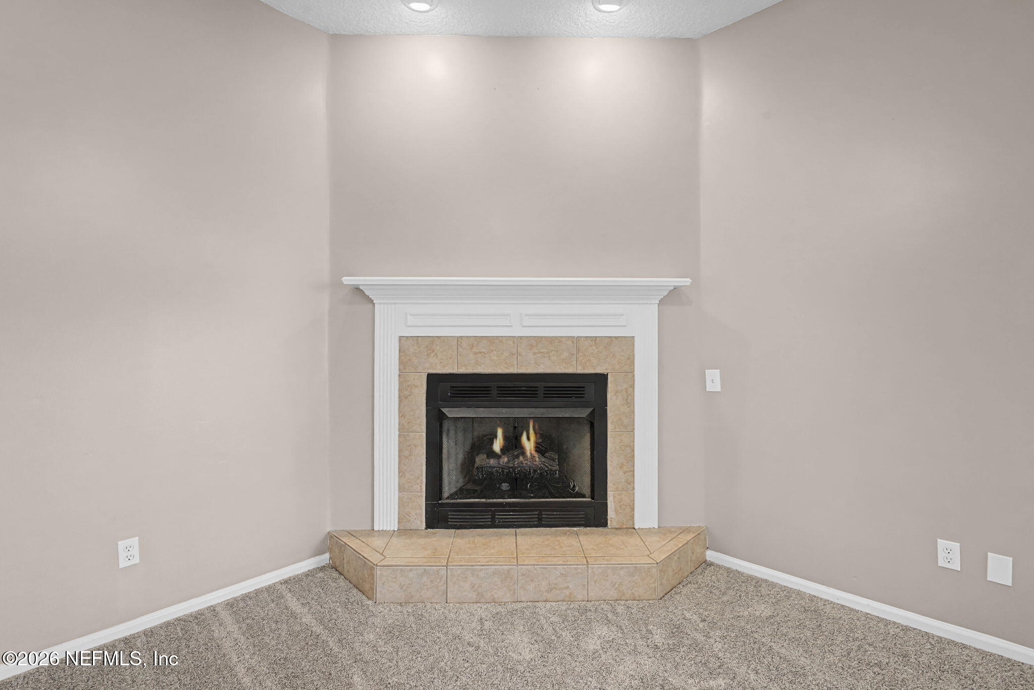 10513 Pope Valley Court Jacksonville, FL 32221 - Photo 23 of 65 ISO 10513 Pope Valley Ct Jacksonville FL