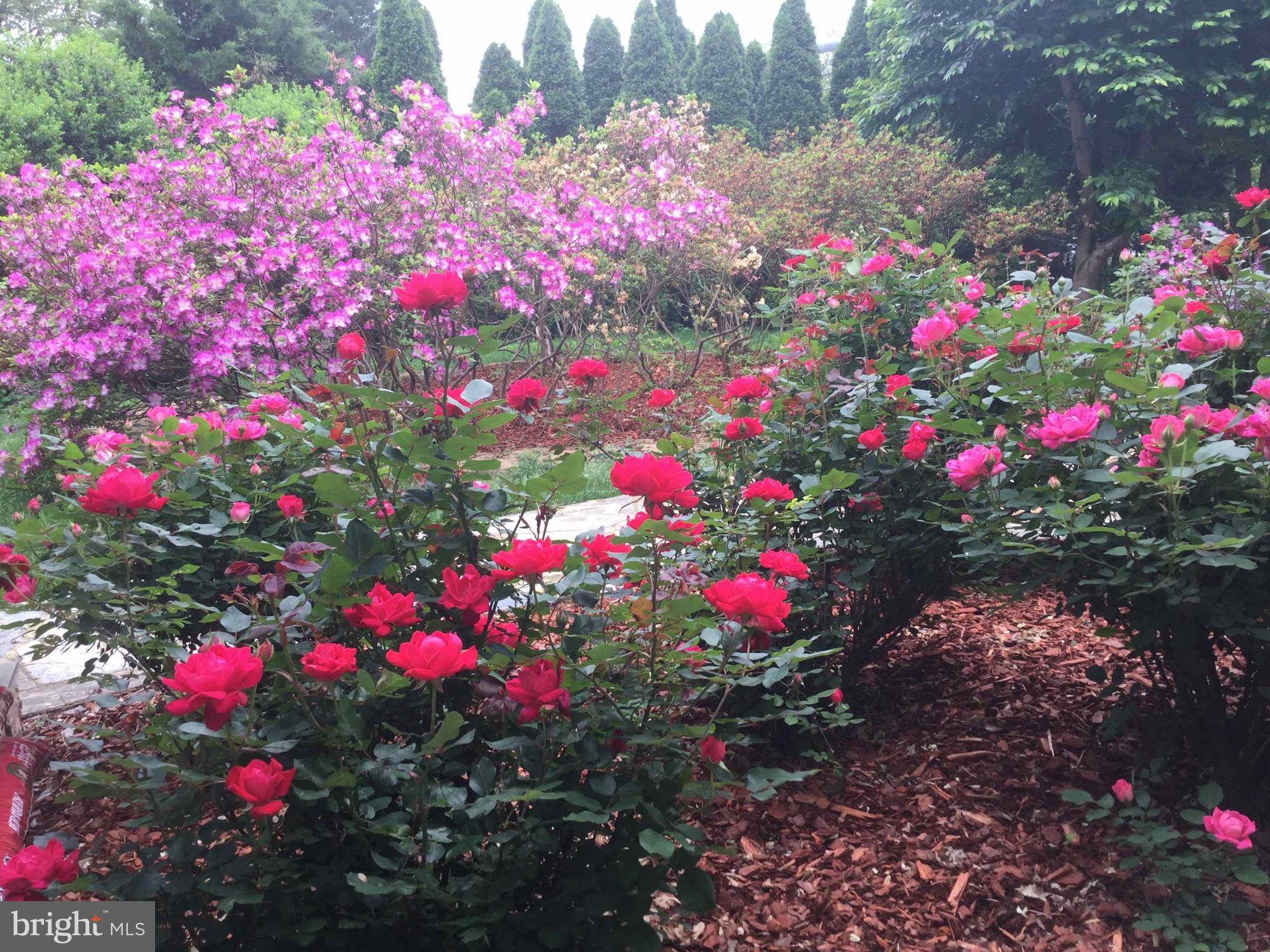 9720 Five Oaks Road Fairfax, VA 22031 - Photo 72 of 91