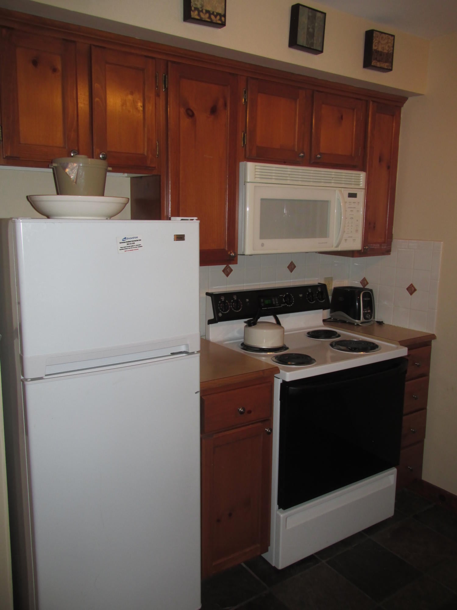 459 Rimfire Snowshoe, WV 26209 - Photo 3 of 15 Gallery Image 3