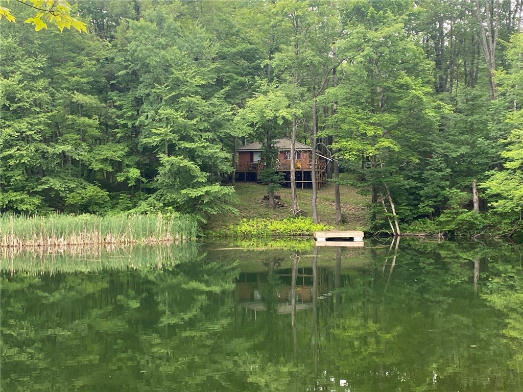 0 Munson Road Kennedy, NY 14747 - Photo 2 of 38 View from across the pond