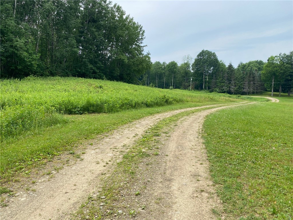 0 Munson Road Kennedy, NY 14747 - Photo 3 of 38 This is the road you will come down to get to the