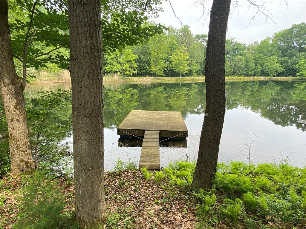 0 Munson Road Kennedy, NY 14747 - Photo 32 of 38 Bring a chair and enjoy the peace and quite or do