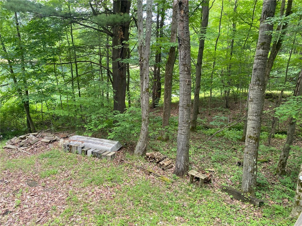 0 Munson Road Kennedy, NY 14747 - Photo 36 of 38 Left side view of property from the deck
