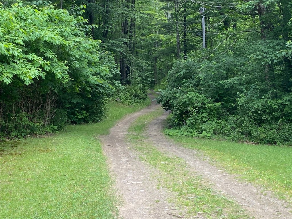 0 Munson Road Kennedy, NY 14747 - Photo 37 of 38 Exit the drive and turn left. Take a walk on this