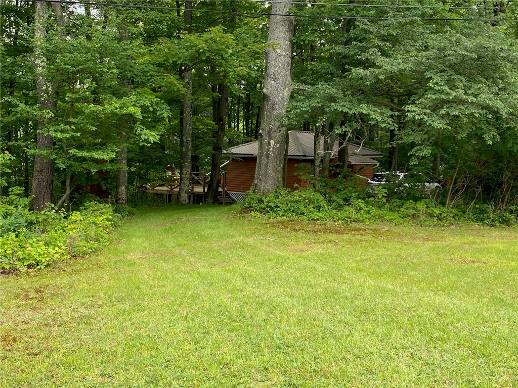0 Munson Road Kennedy, NY 14747 - Photo 4 of 38 Driveway to the cabin
