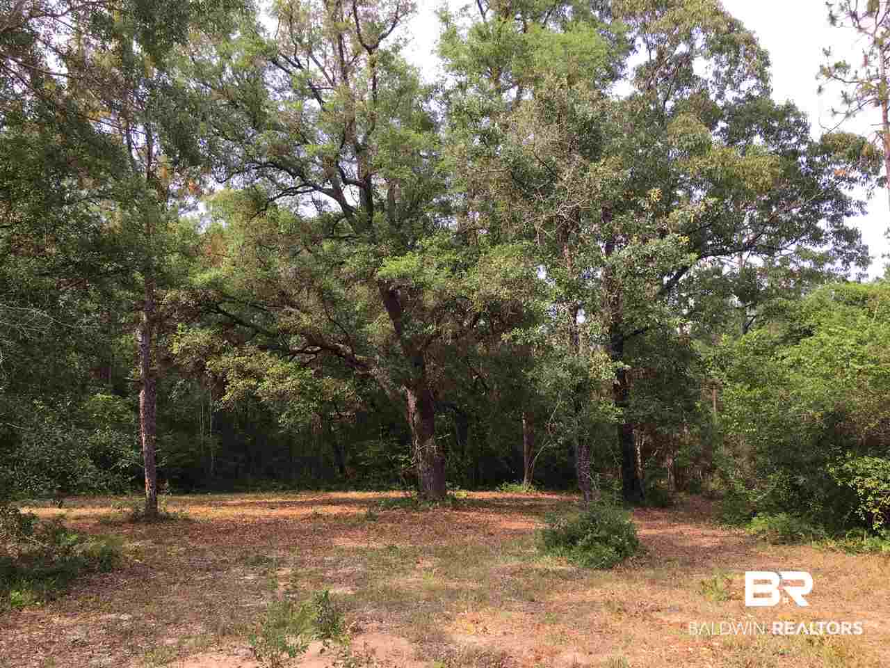 0 New Hope Church Road Robertsdale, AL 36567 - Photo 3 of 17