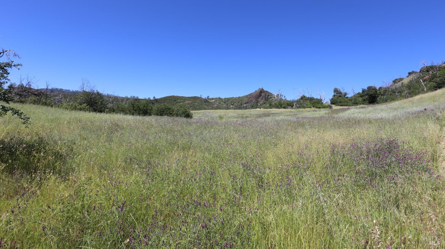14130 Big Canyon Road Middletown, CA 95461 - Photo 2 of 62
