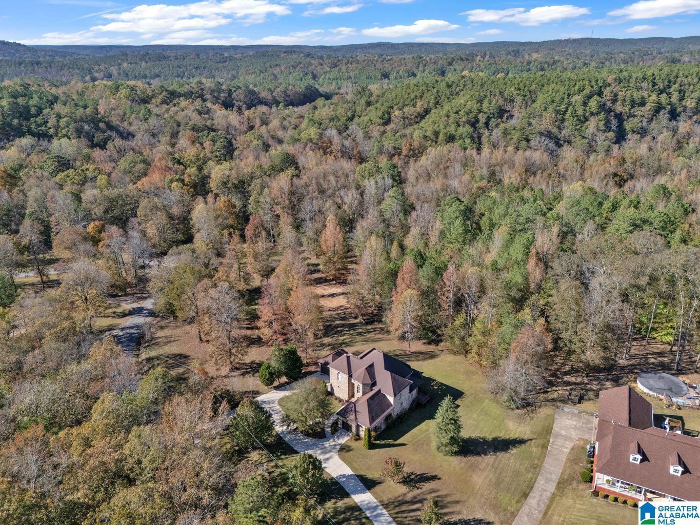 1088 Sellers Road Dora, AL 35062 - Photo 60 of 60