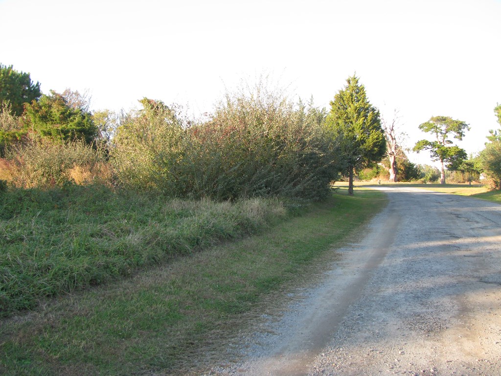 Lot 47 Seabreeze Drive, Unit 47 Murrells Inlet, SC 29576 - Photo 3 of 7