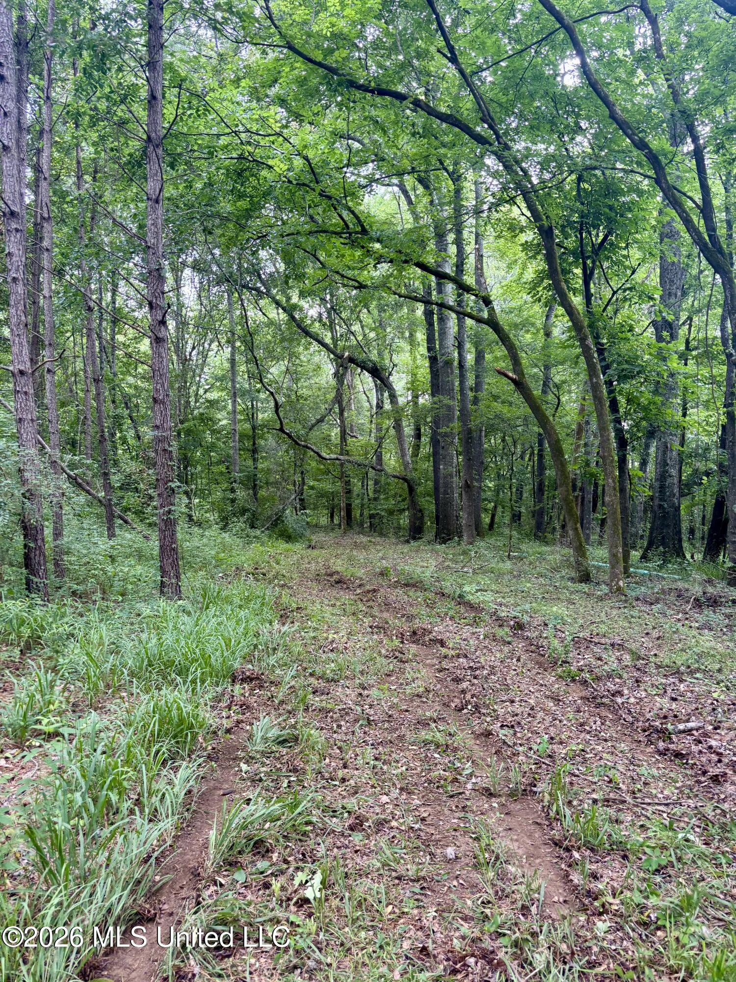 8119 Dry Grove Road Raymond, MS 39154 - Photo 45 of 45 IMG_4737