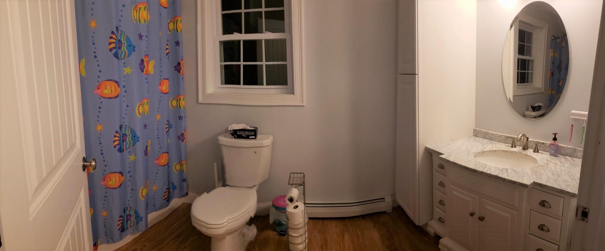 70 Sarah Vaughn Road Hollis Center, ME 04042 - Photo 15 of 19 2nd floor bathroom