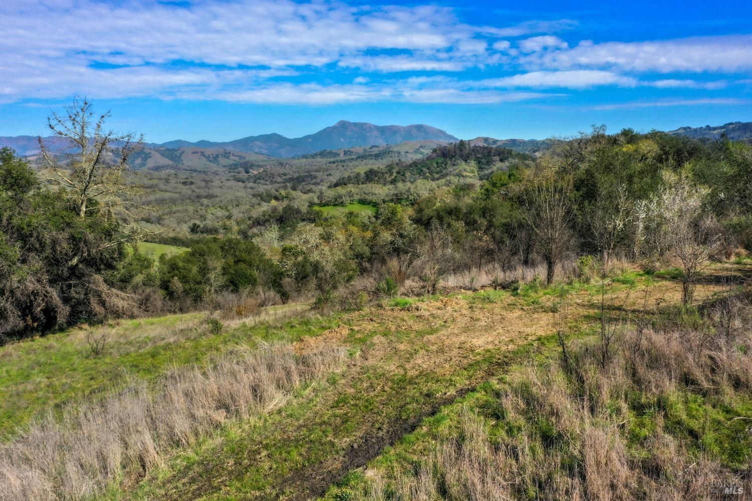 11005 Chalk Hill Road Healdsburg, CA 95448 - Photo 2 of 10 a view of a lush green forest with lots of trees