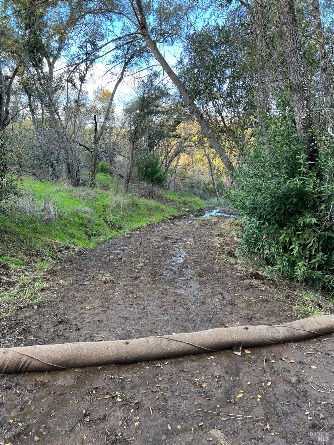 11005 Chalk Hill Road Healdsburg, CA 95448 - Photo 5 of 10 a view of a yard
