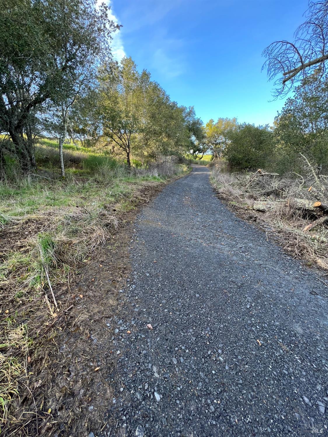 11005 Chalk Hill Road Healdsburg, CA 95448 - Photo 6 of 10 a backyard of a house with lots of green space