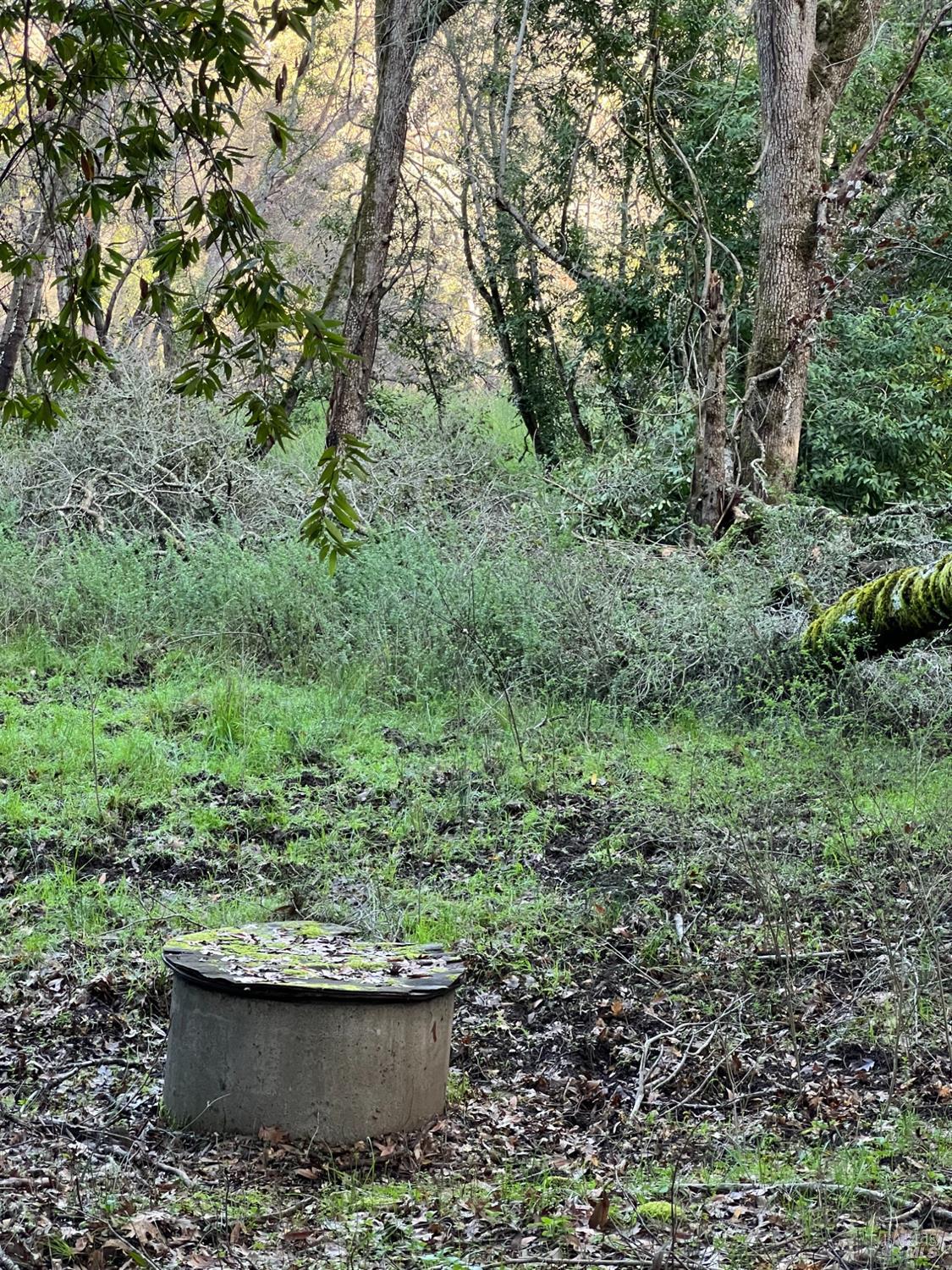 11005 Chalk Hill Road Healdsburg, CA 95448 - Photo 7 of 10 a view of a back yard