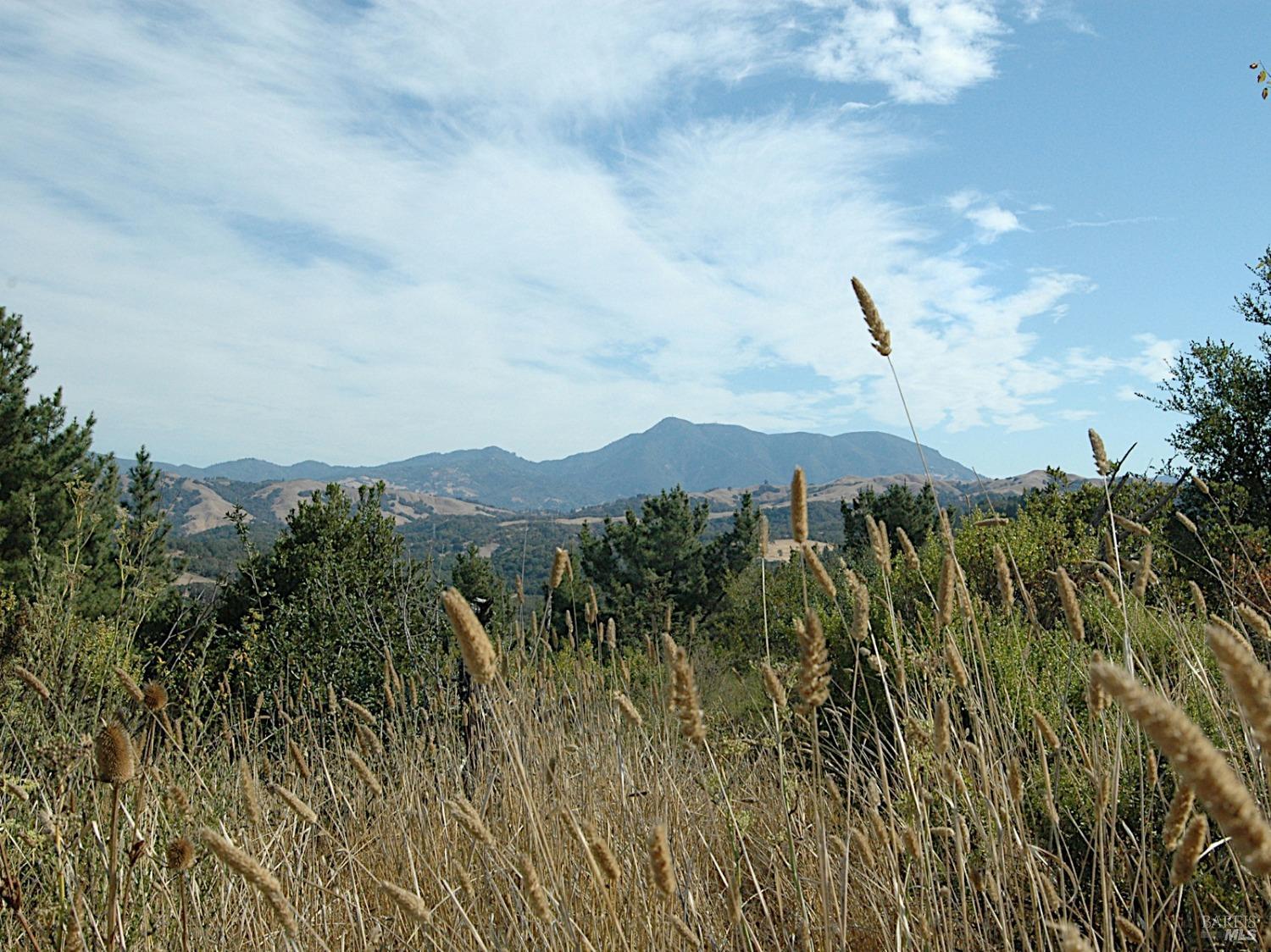 11005 Chalk Hill Road Healdsburg, CA 95448 - Photo 8 of 10 a view of a city